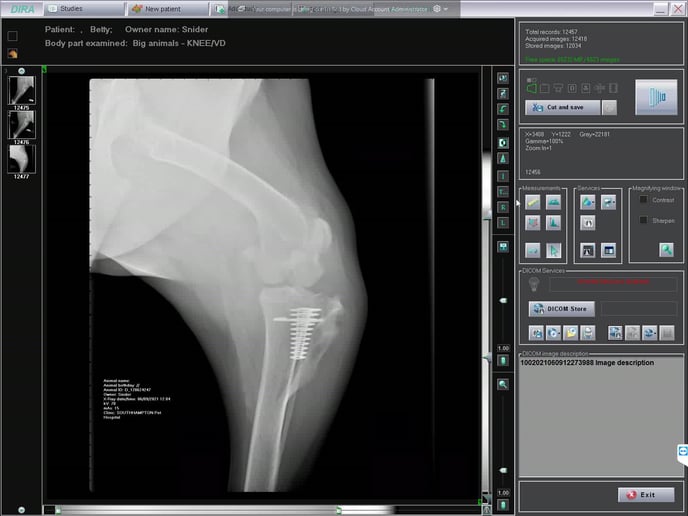 Dira Manual Send instruction