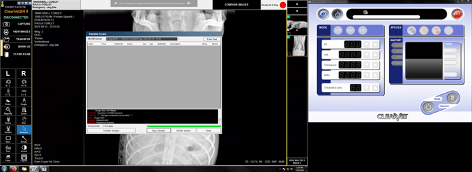 SignalPET Support_Palm Coast Pet Clinic_2021-06-16_11