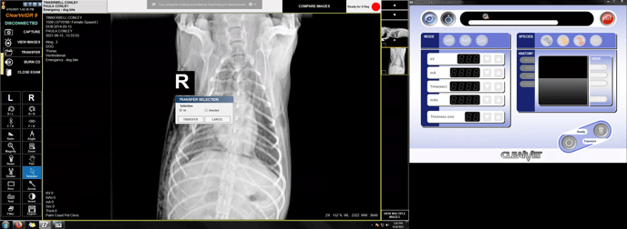 SignalPET Support_Palm Coast Pet Clinic_2021-06-16_7