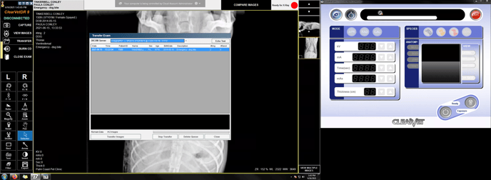 SignalPET Support_Palm Coast Pet Clinic_2021-06-16_9